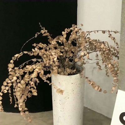 Furry绘画避坑实用指南Furry群